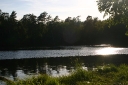 Lake view (1)