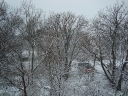 View...