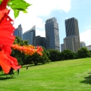 Richness and monotonous