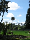 The gardens with harbour bridge in the background