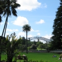The gardens with harbour bridge in the background