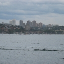 Rose Bay