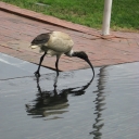 It\'s not booze, but it\'ll do.. :)